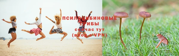 экстази Белокуриха