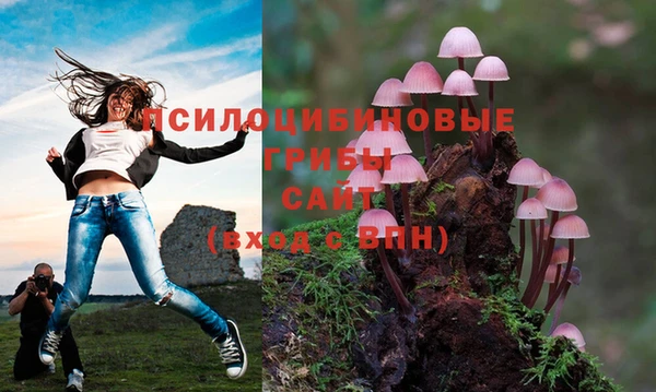 apvp Беломорск