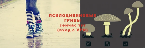 apvp Беломорск