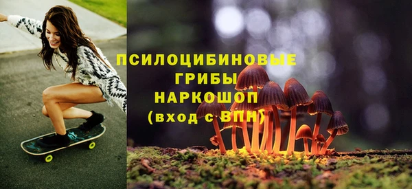 apvp Беломорск